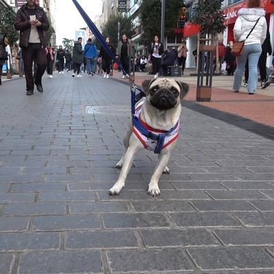 Trabzon'daki 'ağızlık' kararında sıcak gelişme!