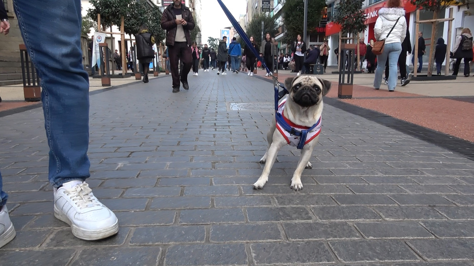 Trabzon'daki 'ağızlık' kararında sıcak gelişme!