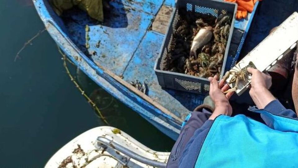 Eğirdir Gölü'nde yasak başladı