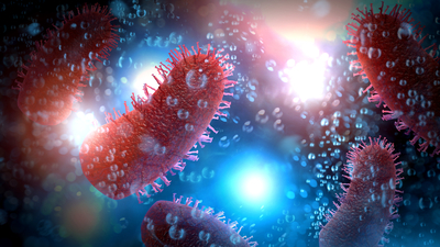 Kuduz tehlikesi! Açık yaraya temas ederse...