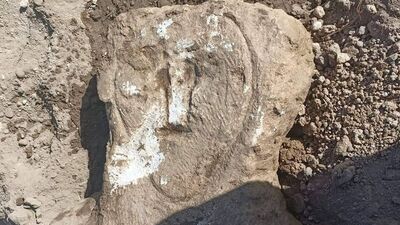 Bahçe duvarında kullanılıyordu... Koruma altında!