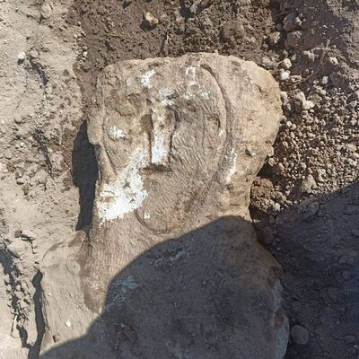 Bahçe duvarında kullanılıyordu... Koruma altında!