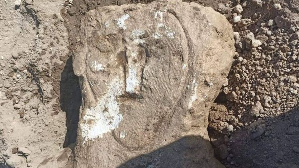 Bahçe duvarında kullanılıyordu... Koruma altında!