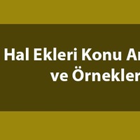 Hal ekleri konu anlatımı
