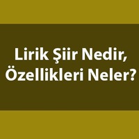 Lirik şiir nedir, özellikleri neler?