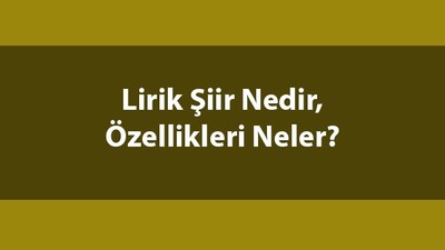 Lirik şiir nedir, özellikleri neler?