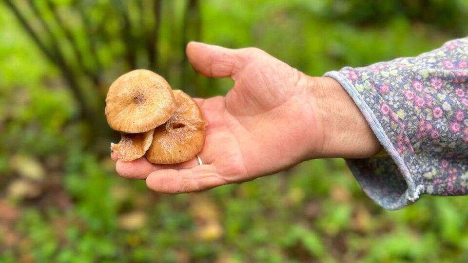 Uzmanından bir uyarı daha: İkizi öldürüyor