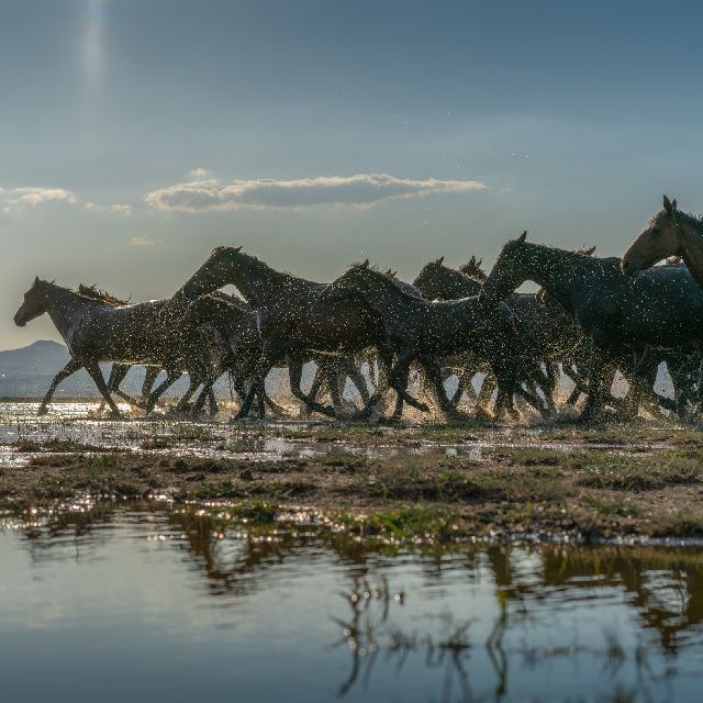 Enis Öncüoğlu'ndan 'FORM_AT'