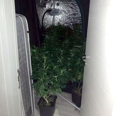 "Pes" dedirten olay! Rezidansta uyuşturucu serası!