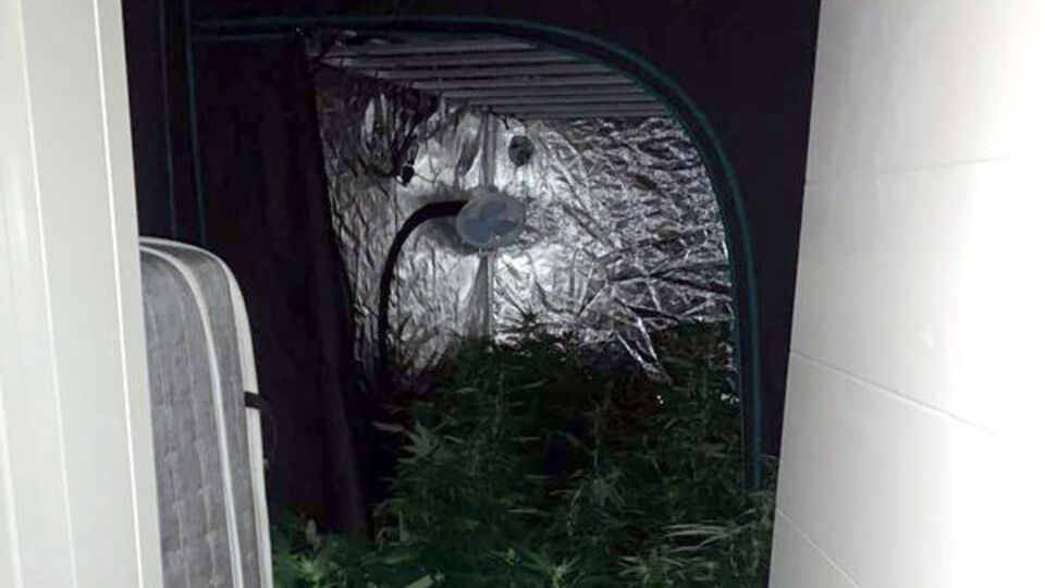 "Pes" dedirten olay! Rezidansta uyuşturucu serası!