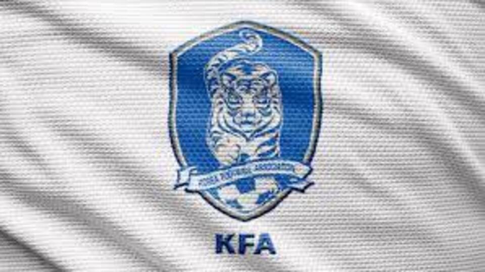 2022 FIFA Dünya Kupasında H Grubu: Güney Kore