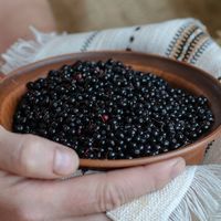 Hastalıklara karşı doğal ZIRH: Bağışıklık sistemini güçlendiriyor, dokuları koruyarak enfeksiyonu önlüyor