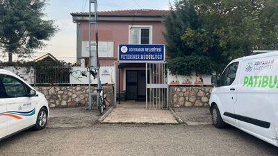 Adıyaman'da iki mahalle kuduz nedeniyle karantinaya alındı