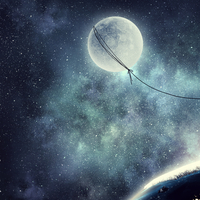 Rüyada Sincap Görmek