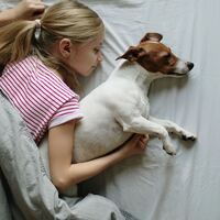 Rüyada Tereyağı Görmek