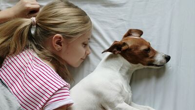 Rüyada Tereyağı Görmek