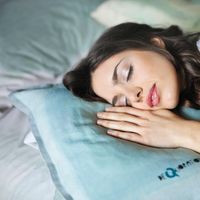 Rüyada Maydanoz Görmek