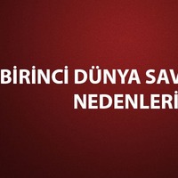 Birinci Dünya Savaşı'nın nedenleri
