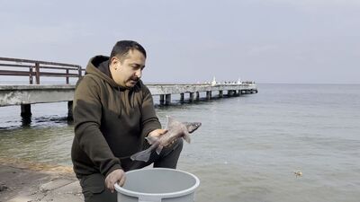 Balıkçının oltasına takıldı... Nadir görülüyor