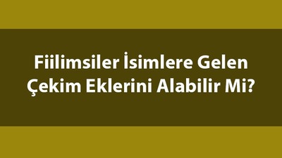 Fiilimsiler çekim eki alır mı?