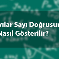 Tam Sayılar Sayı Doğrusunda Nasıl Gösterilir?