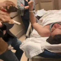 Sergen Deveci, İstanbul'a getirildi