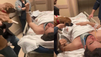 Sergen Deveci, İstanbul'a getirildi