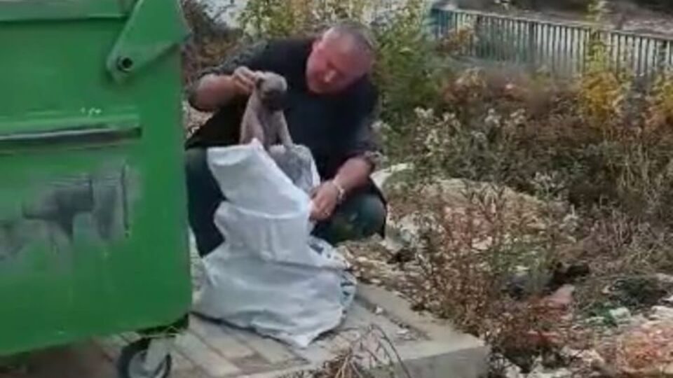 Çöpe atılan çuvaldan yavru köpekler çıktı