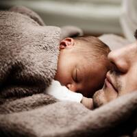 Rüyada Karınca Sürüsü Görmek