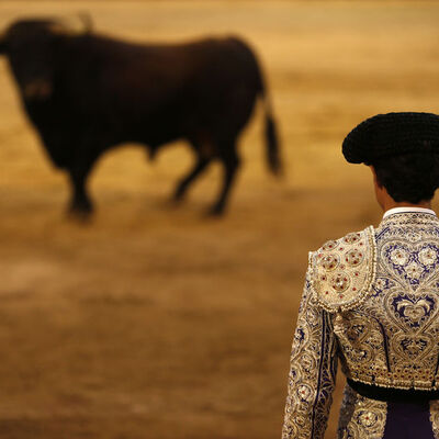 Fransa, boğa güreşlerini yasaklıyor mu?