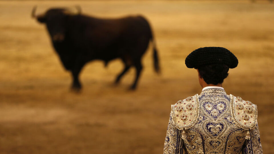Fransa, boğa güreşlerini yasaklıyor mu?