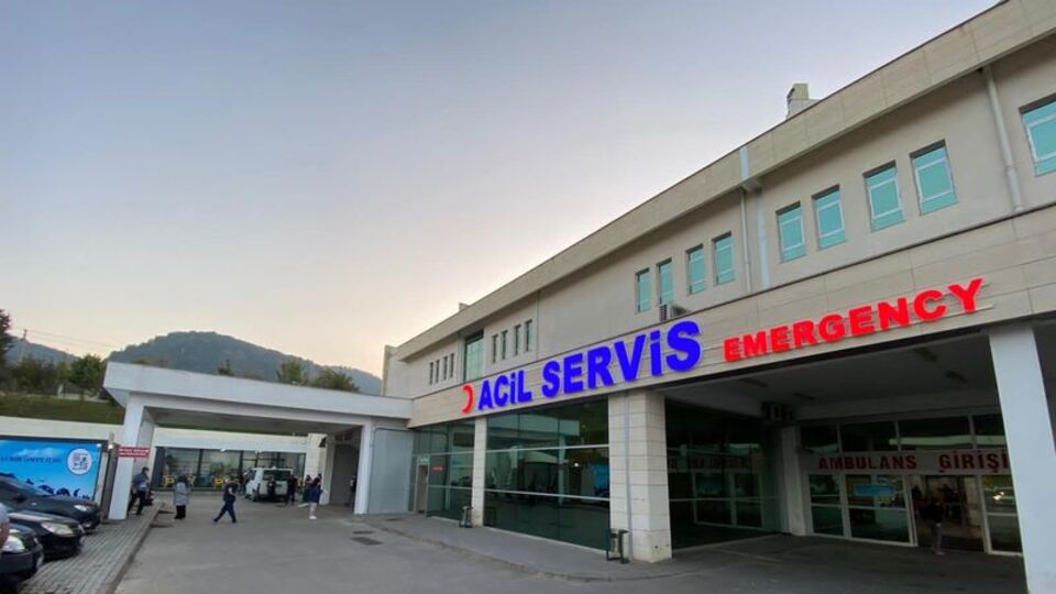Ağabeyini tüfekle vurdu