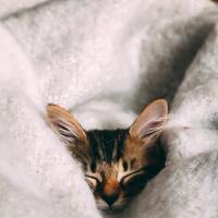 Rüyada Ev Temizlemek