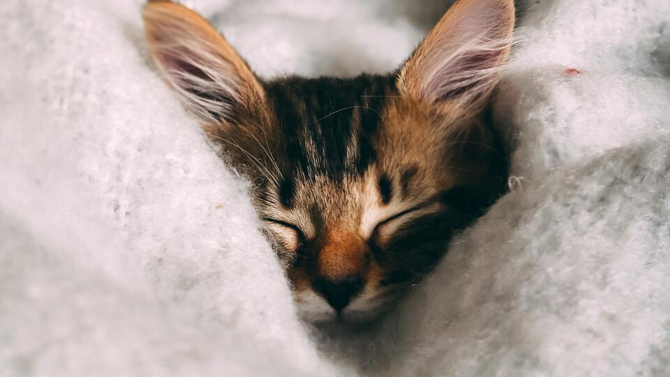 Rüyada Ev Temizlemek