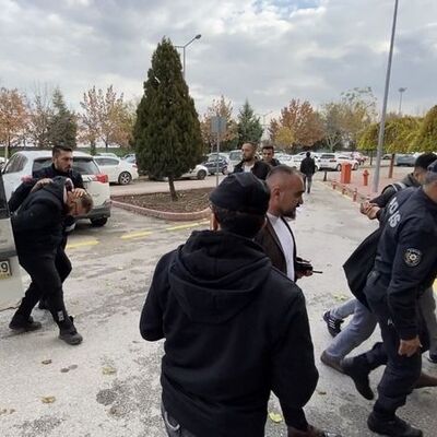 Köpek katliamında ilk ifadeler ortaya çıktı