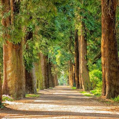 İnsan sağlığına iyi geliyor! Bu haberi okuduktan sonra denemek isteyeceksiniz!