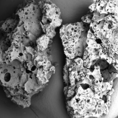 Türk bilim insanı keşfetti... 70 bin yıllık!