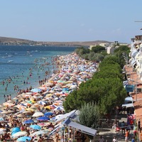 Avşa Adası nerede?