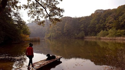 Belgrad Ormanı nerede?