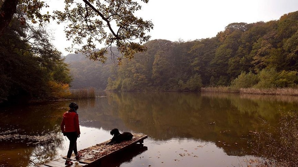 Belgrad Ormanı nerede?