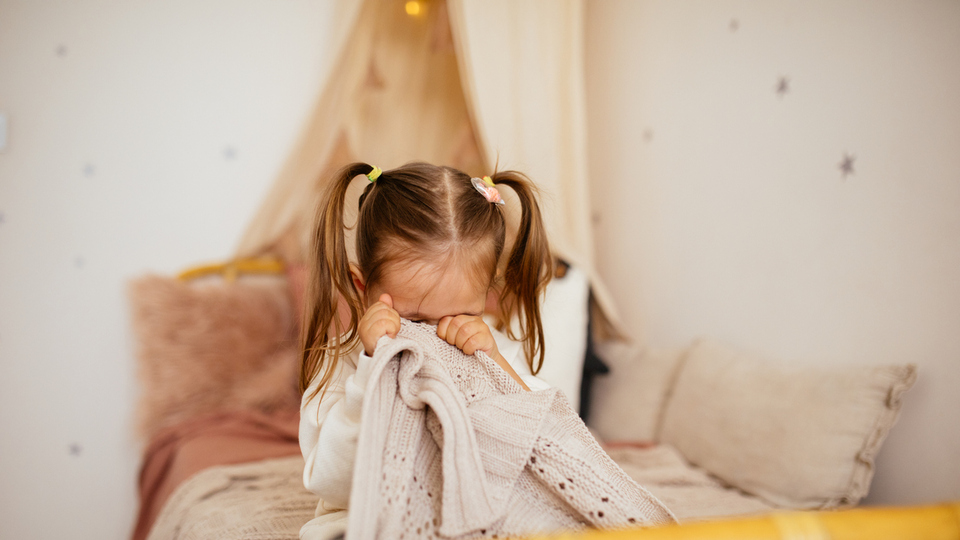 Rüyada Ceviz Ağacı Görmek