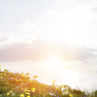 Rüyada Doğum Günü Kutlamak