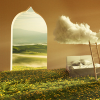 Rüyada Yengeç Görmek