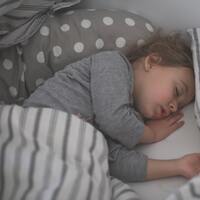 Rüyada Kahverengi ve Beyaz At Görmek