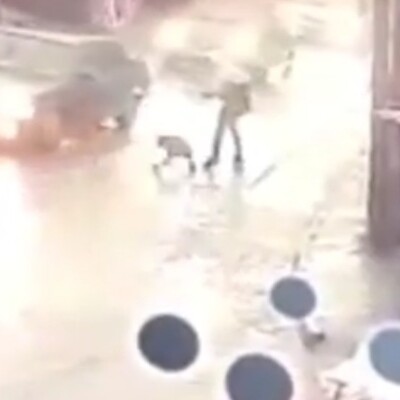 Küçük çocuğa, okula giderken Pitbull saldırdı!