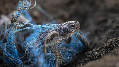 K﻿üresel Plastik Anlaşması'nın ilk müzakerelerinden neler bekleniyor?