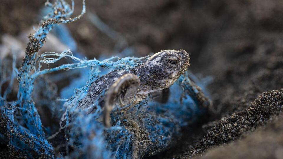 K﻿üresel Plastik Anlaşması'nın ilk müzakerelerinden neler bekleniyor?