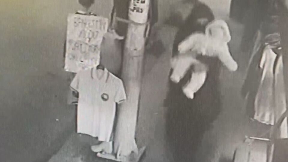 Bebeğiyle yürürken öldürülmüştü! 9 gözaltı