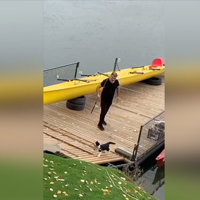 Azimli kedi oltadaki balığı böyle kaptı