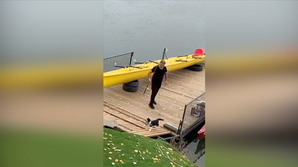 Azimli kedi oltadaki balığı böyle kaptı
